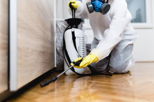 Best Bed Bug Extermination  in Rock Springs, NM