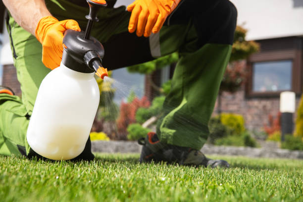 Best Rat Extermination Near Me  in Rock Springs, NM