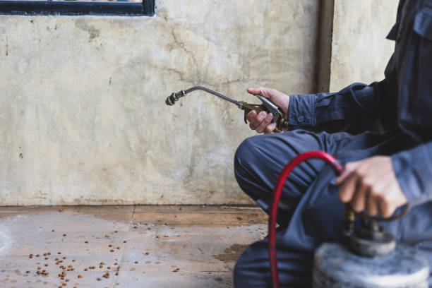 Best Emergency Pest Control  in Rock Springs, NM